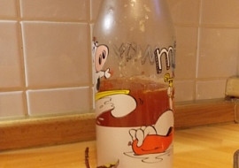 Domácí šípkový sirup