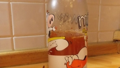 Domácí šípkový sirup