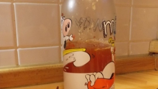 Domácí šípkový sirup