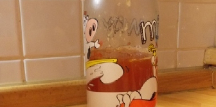 Domácí šípkový sirup