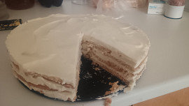 Nepečený salkový koláč se sušenkami