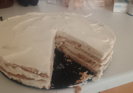 Nepečený salkový koláč se sušenkami