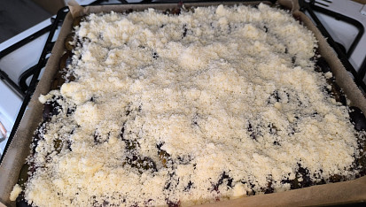 Rychlý švestkový koláč, na konec posileme drobenkou