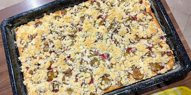 Švestkový koláč kynutý-nekynutý (Je hodně nízký, ale moc dobrý 😋)