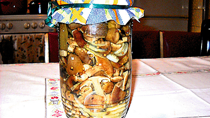 Houbová směs