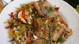 Smažený kapr s fazolovým salátem