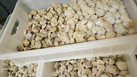 Těsto na svatební koláčky