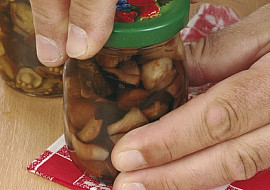 Houbičky nakyselo