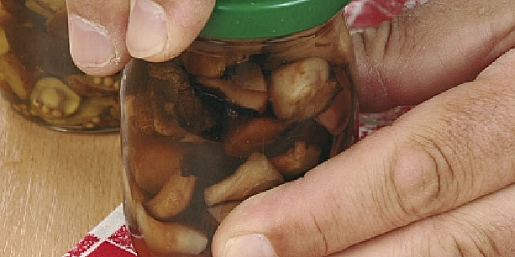 Houbičky nakyselo