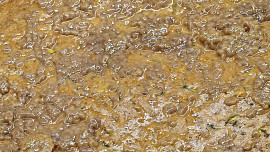 Cuketové řezy s malinami