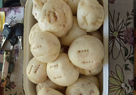 Babiččiny blbouny
