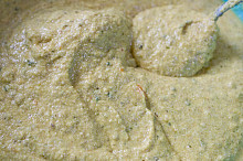 Těstíčko na placičky