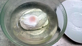 Kulajda se žampiony a ztraceným vejcem