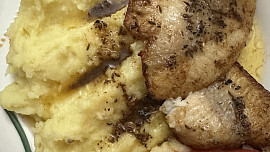 Sumec keříčkovec na kmínu