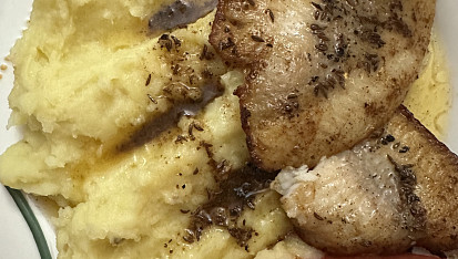 Sumec keříčkovec na kmínu