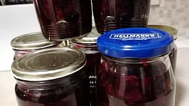 Červená řepa II Červená řepa II