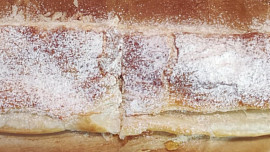 Rychloštrúdl Rychloštrúdl