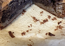 Bábovka se strouhanými jablky