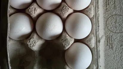 Sněhové pusinky/kokosky, které se mi vždy povedly, Vajíčka na přípravu