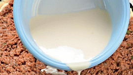 Quiche s mletým masem