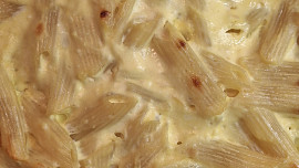 Zapékané těstoviny s tvarohem