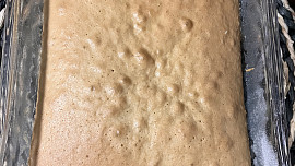 Olejový korpus na dort