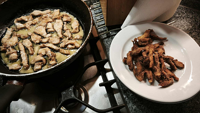 Třeboňské kapří hranolky, První porce