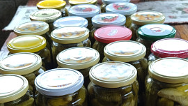 Rychle naložené okurky