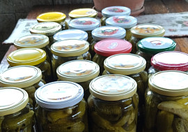 Rychle naložené okurky