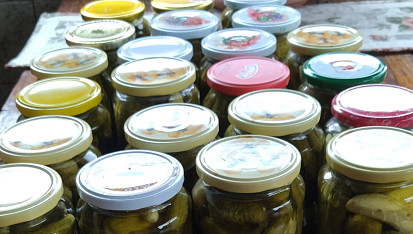 Rychle naložené okurky