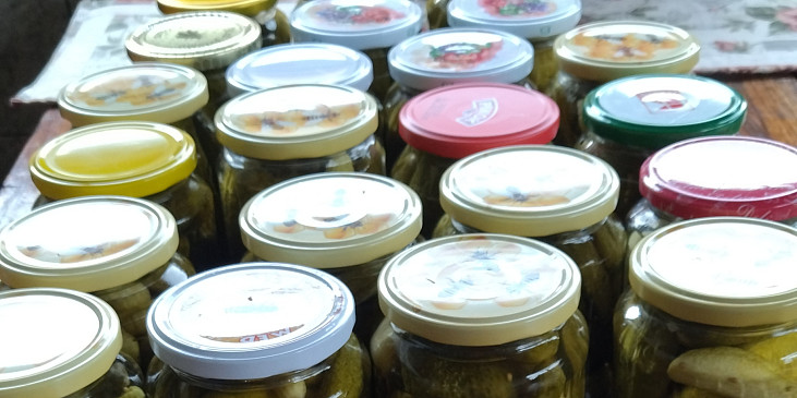 Rychle naložené okurky