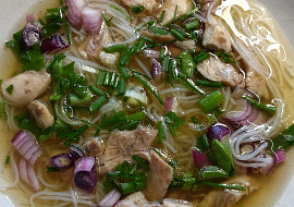 Vietnamská kuřecí (slepičí) polévka-Pho Ga