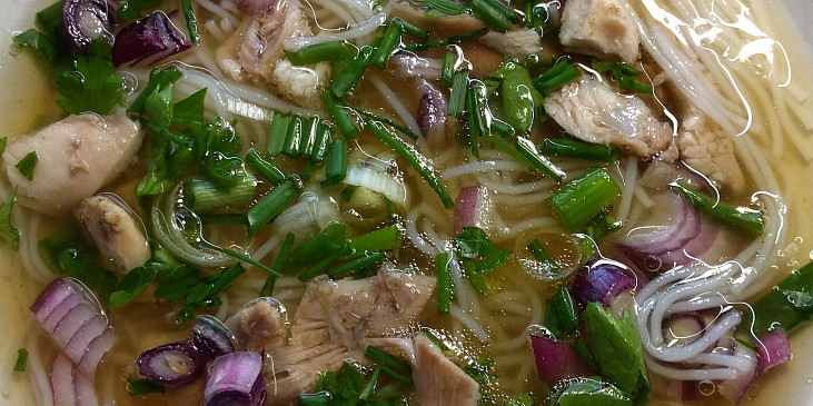 Vietnamská kuřecí (slepičí) polévka-Pho Ga