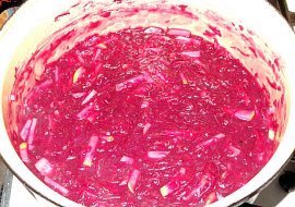 Kachní stehna na česneku