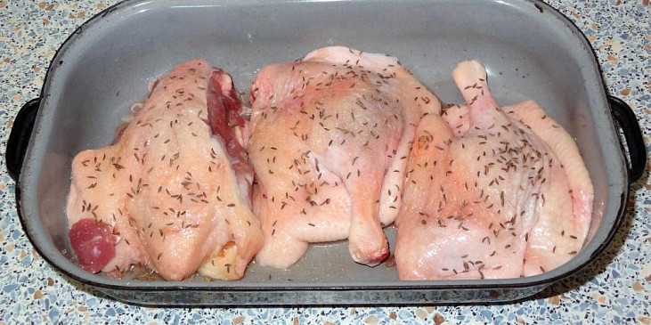 Kachní stehna na česneku