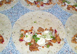 Kuřecí quesadilla
