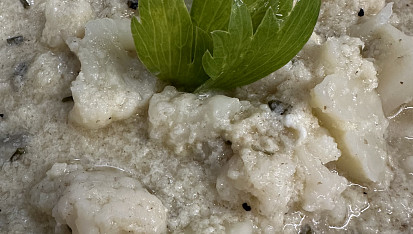 Květáková s krupicovým kapáním