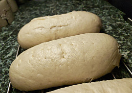 Kynuté knedlíky, které se vždy povedou