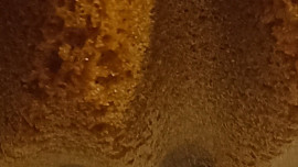 Bábovka šlehačková čtyřvaječná