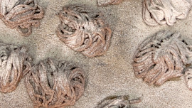 Skořicové cukroví z lisu na česnek