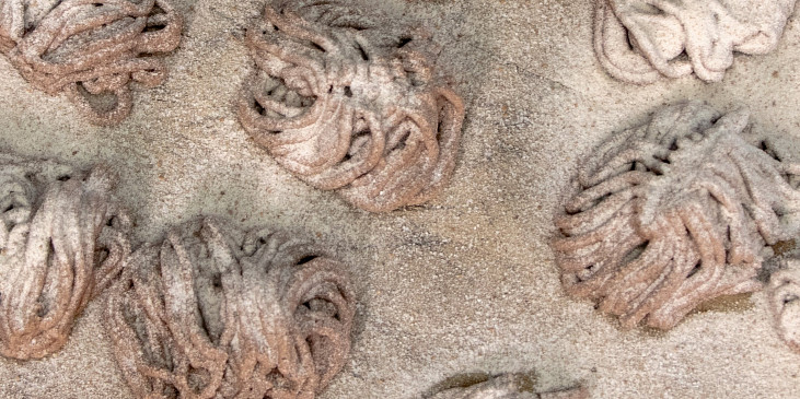 Skořicové cukroví z lisu na česnek