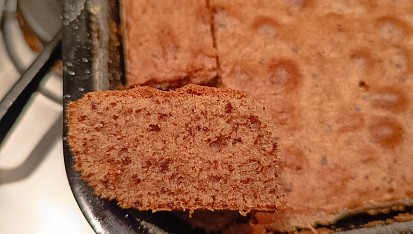 Jihoafrická návštěvnická buchta