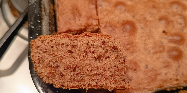 Jihoafrická návštěvnická buchta