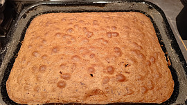 Jihoafrická návštěvnická buchta