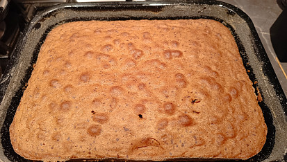 Jihoafrická návštěvnická buchta