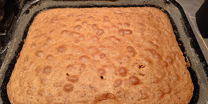 Jihoafrická návštěvnická buchta