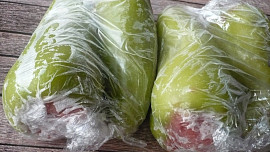 Plněné papriky na zamražení