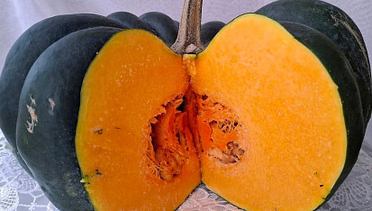 Polévka z muškátové dýně (vhodná pro diabetiky)