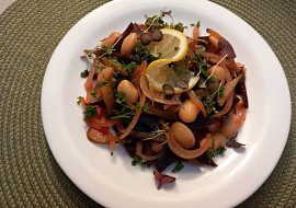 Salát z červené řepy, okurek, fazolí a cibule