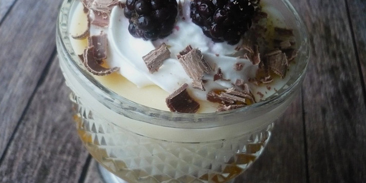 Pudinkový pohár jako kdysi (Pro děti bez vaječného likéru.)